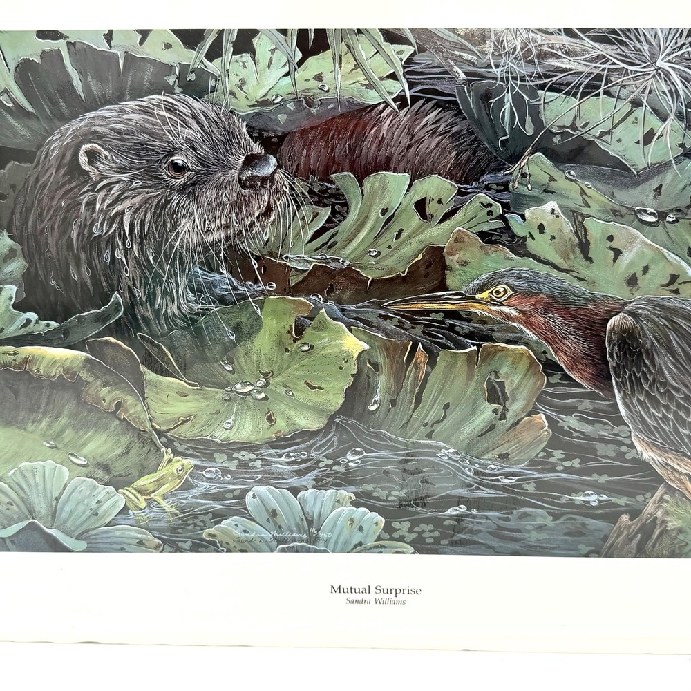Sandra Williams Mutual Surprise Art Print Signed Numbered 116/450 Wildlife 1994
